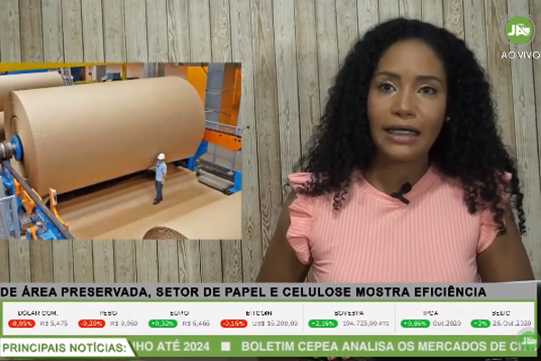 Ital - Setor de Papel e Celulose Sustentável
